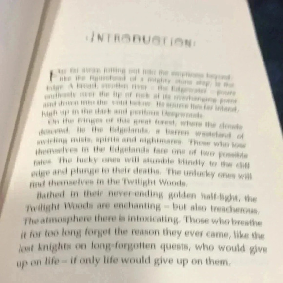 The edge chronicles Stormchaser book hard‎ back - Picture 10 of 10